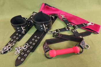 Cuff, Gag, Blindfold, Hogtie Set - Awesome and only $79.99